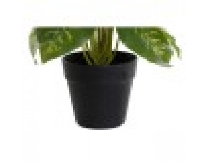 Декоративно Растение DKD Home Decor Черен Зелен PVC PP (20 x 20 x 30 cm)