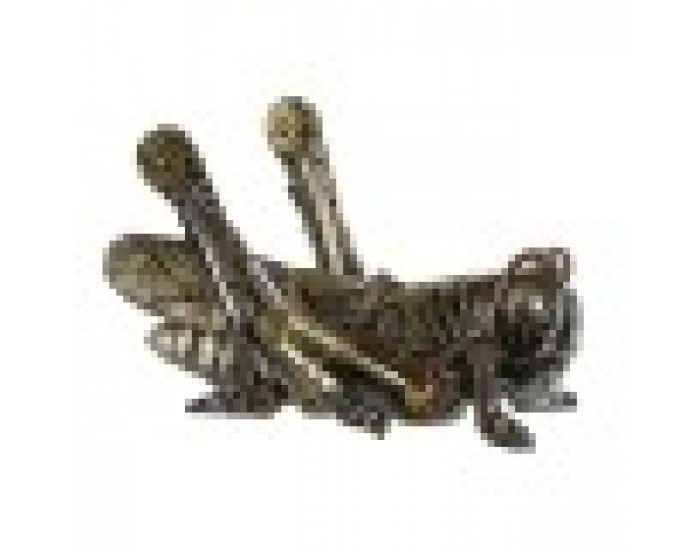 Декоративна фигурка Home ESPRIT Сив Многоцветен 24 x 13 x 13 cm