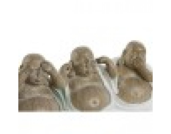 Декоративна фигурка Home ESPRIT Бял Зелен Буда Ориенталски 10 x 9 x 10,5 cm (3 броя)