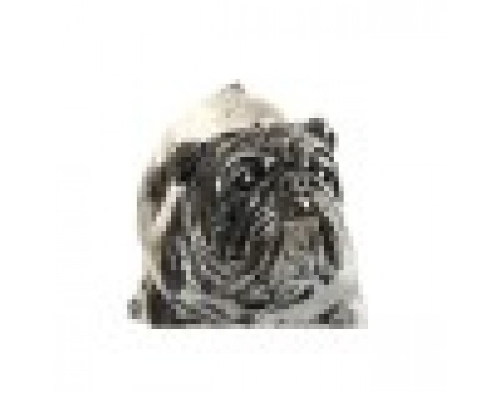 Декоративна фигурка Home ESPRIT Сребрист Куче Loft 28,5 x 11 x 16 cm