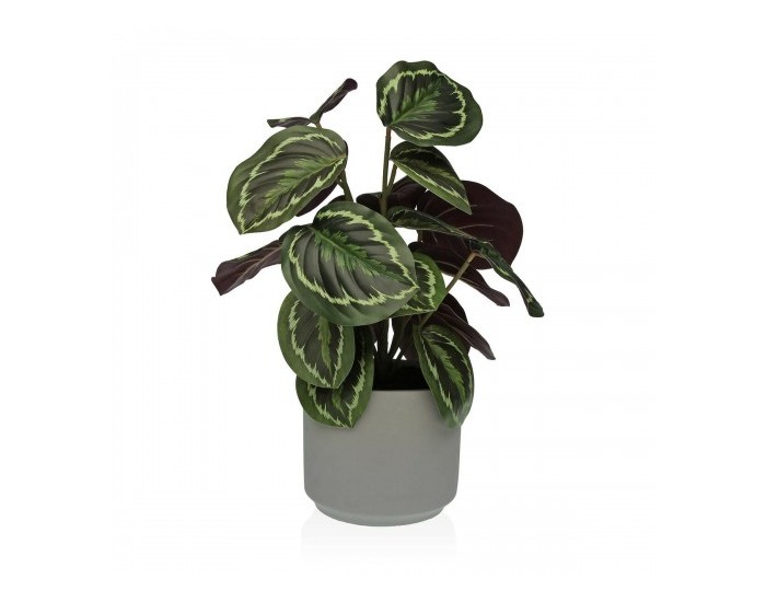 Декоративно Растение Versa 15 x 40,5 x 15 cm Цимент Пластмаса