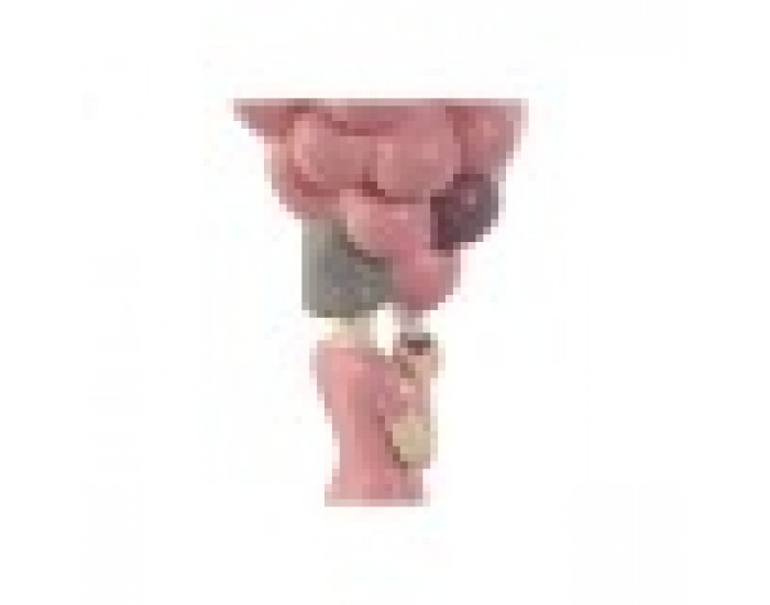 Декоративна фигурка Home ESPRIT Розов chica 11 x 11,7 x 32 cm