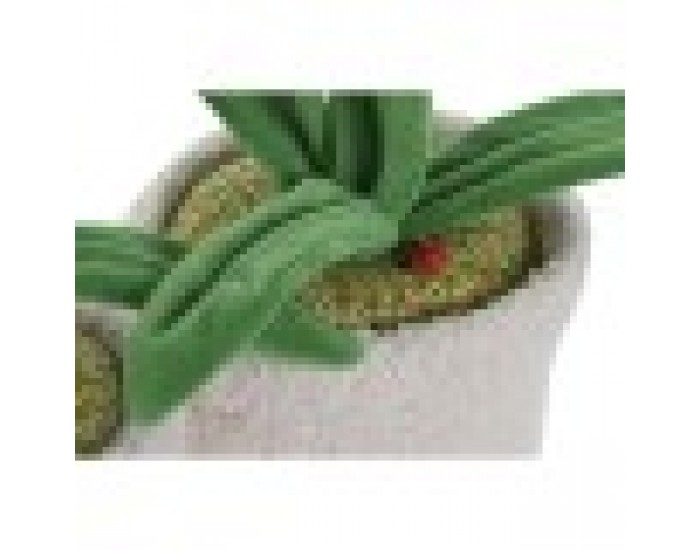 Държач на врати Home ESPRIT 14 x 14 x 30 cm (2 броя)