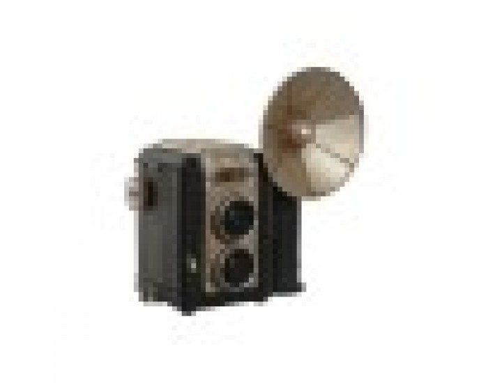 Декоративна фигурка Home ESPRIT Черен Сребрист Фотоапарат Vintage 25 x 14 x 24 cm