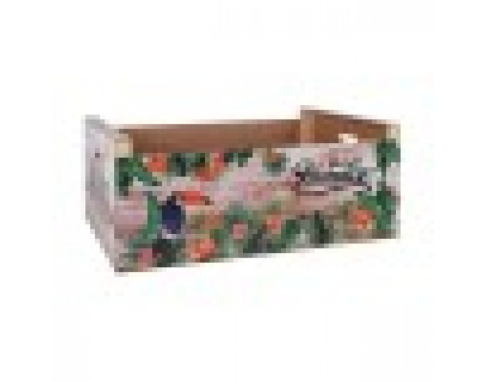 Подложка за маса Confortime Paradise Дървен Тропически 58 x 39 x 21 cm (3 броя)