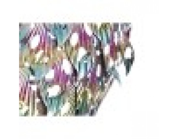 Декорация за стена Home ESPRIT Многоцветен Гущер 25 x 6,5 x 51 cm