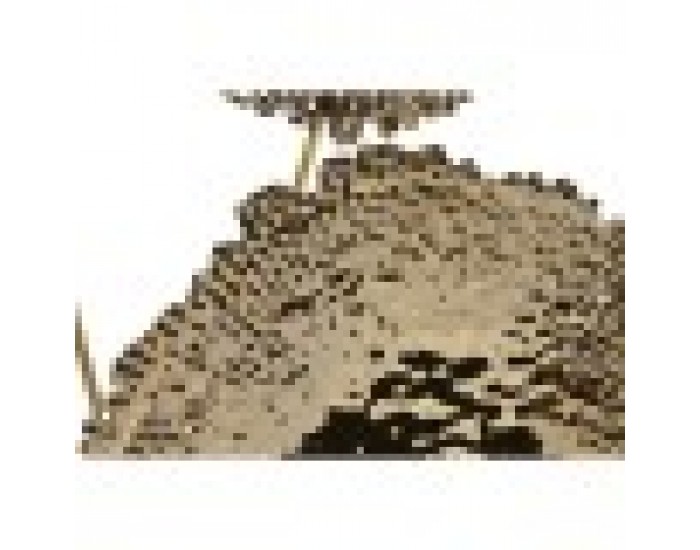 Декорация за стена Home ESPRIT Златен Цвете 50 x 5 x 50 cm