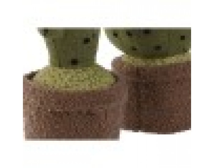 Държач на врати Home ESPRIT 18 x 18 x 29 cm (2 броя)