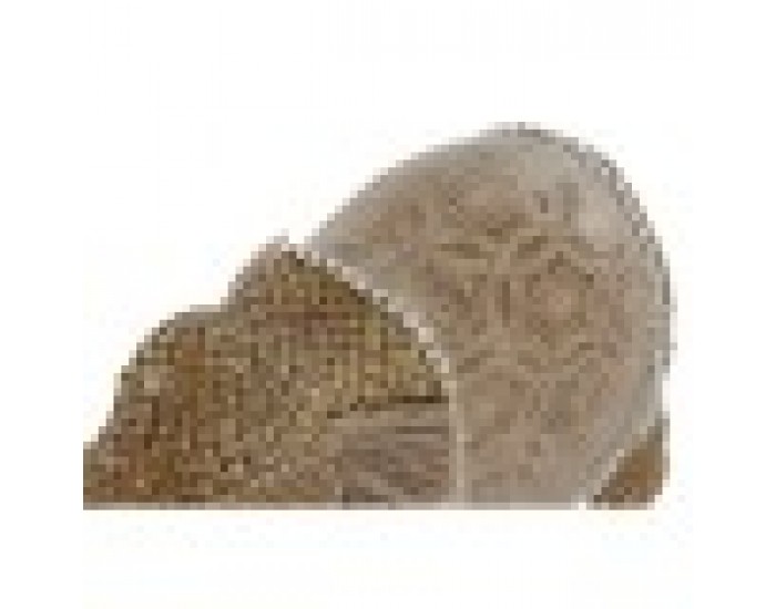 Декоративна фигурка Home ESPRIT Естествен Слон 32 x 12 x 21 cm