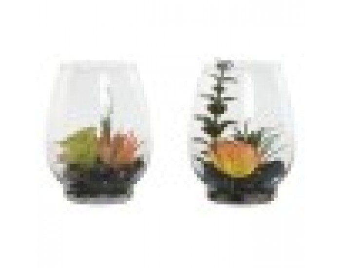 Декоративно Растение Home ESPRIT PVC Кристал 10 x 10 x 15 cm (2 броя)