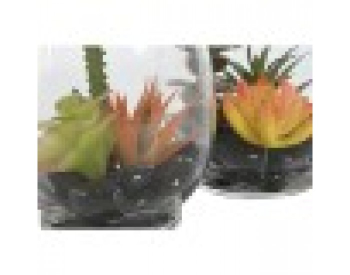 Декоративно Растение Home ESPRIT PVC Кристал 10 x 10 x 15 cm (2 броя)