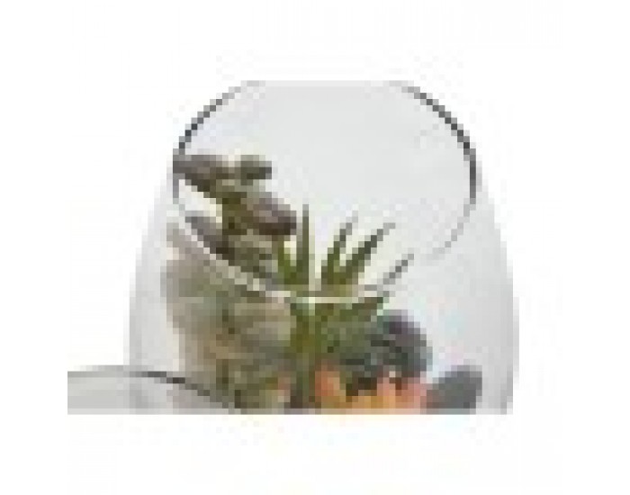 Декоративно Растение Home ESPRIT PVC Кристал 10 x 10 x 15 cm (2 броя)