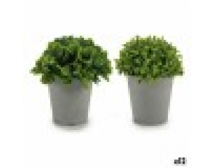 Декоративно Растение Сив Зелен Пластмаса (13 x 17 x 13 cm) (12 броя)