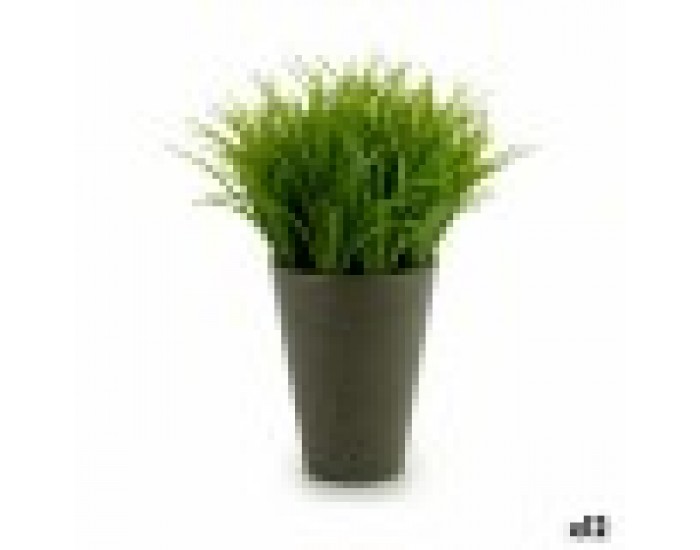 Декоративно Растение Пластмаса 11 x 18 x 11 cm Зелен Сив (12 броя)