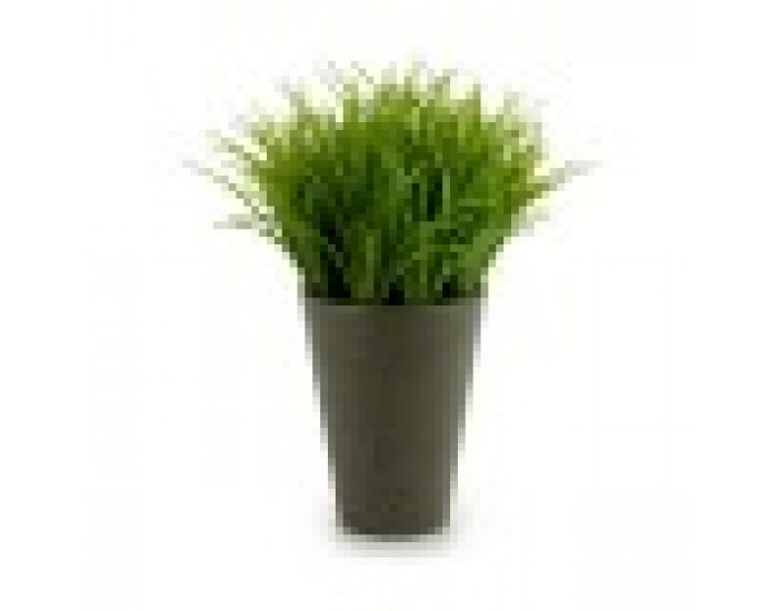 Декоративно Растение Пластмаса 11 x 18 x 11 cm Зелен Сив (12 броя)