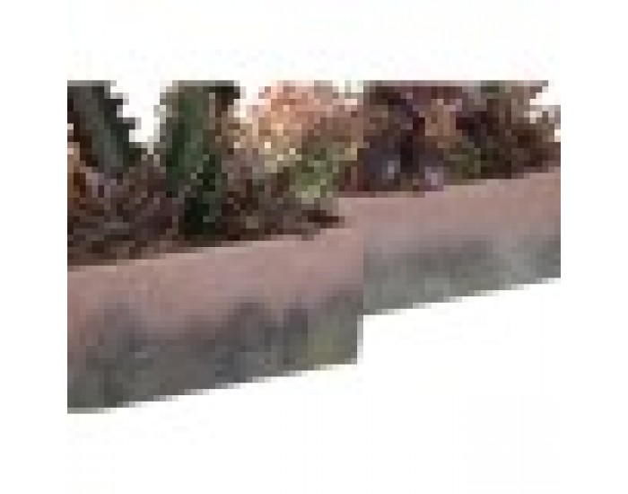 Декоративно Растение DKD Home Decor 19 x 9 x 22 cm Розов Оранжев Кактус Гума Ева полипропилен (2 броя)