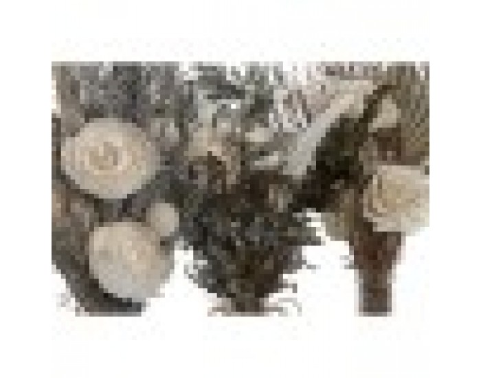 Декоративно Растение Home ESPRIT Кристал Цвете 11 x 11 x 40 cm (3 броя)