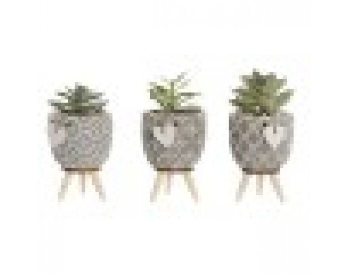 Декоративно Растение Home ESPRIT полиетилен Цимент 9,5 x 9,5 x 12 cm (3 броя)