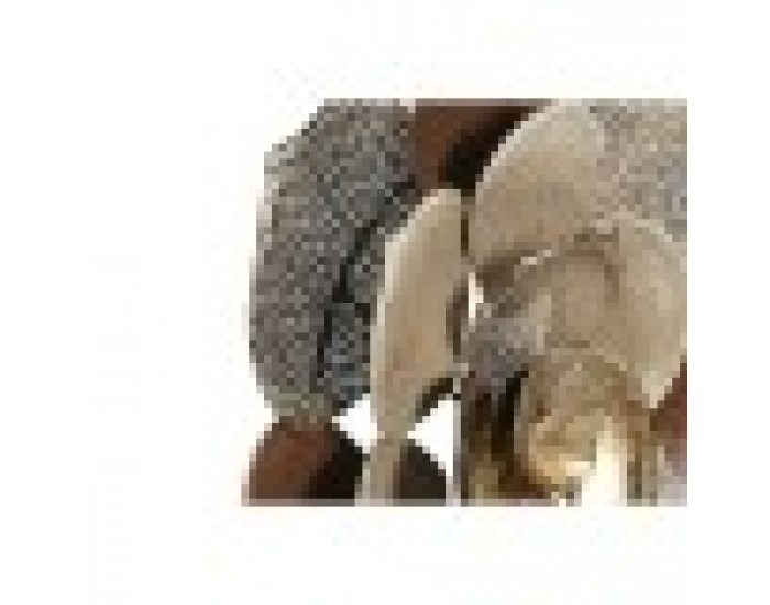 Декорация за стена Home ESPRIT Златен теракота Модерен Цвете 51 x 6,5 x 51 cm