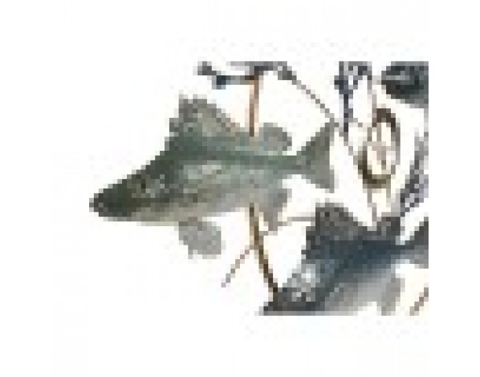 Декорация за стена Home ESPRIT Син Златен Средиземноморско Риби 91 x 4,5 x 50 cm