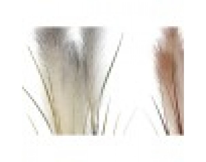 Декоративно Растение Home ESPRIT PVC полиетилен 15 x 15 x 106 cm (2 броя)