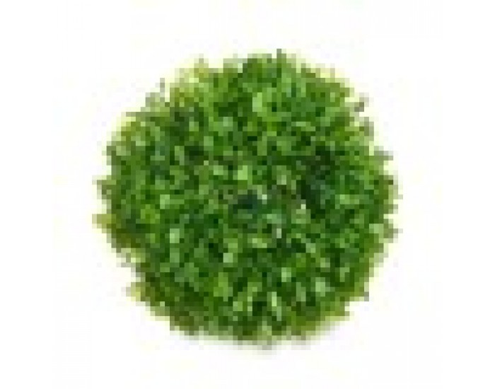 Декоративно Растение Pall Пластмаса 17 x 13,5 x 17 cm (12 броя)