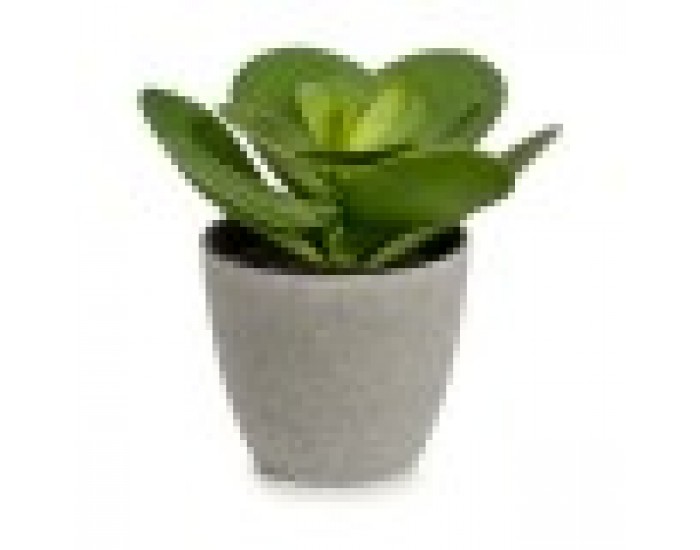 Декоративно Растение 18 x 18,5 x 18 cm Сив Зелен Пластмаса (6 броя)