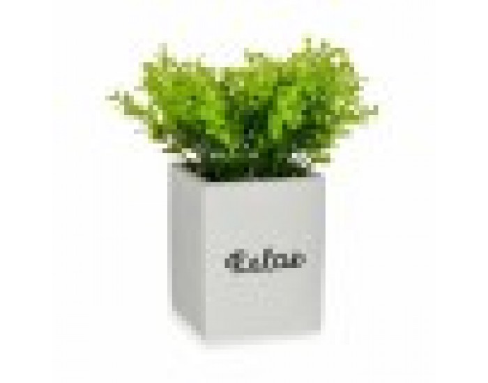 Декоративно Растение Листи Малка Пластмаса Цимент 13 x 18 x 13 cm (6 броя)