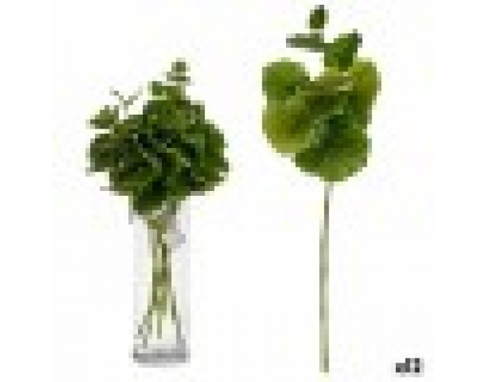 Клон Листи 75 cm Зелен Пластмаса (12 броя)