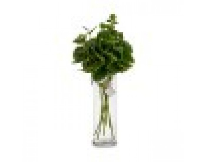 Клон Листи 75 cm Зелен Пластмаса (12 броя)