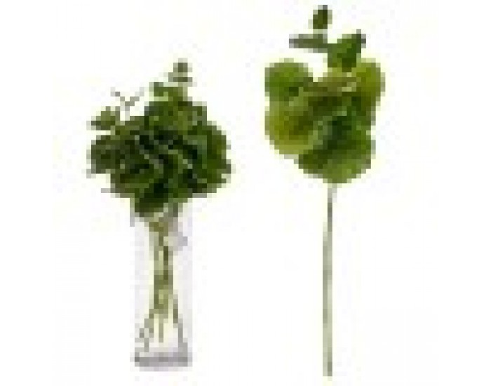 Клон Листи 75 cm Зелен Пластмаса (12 броя)