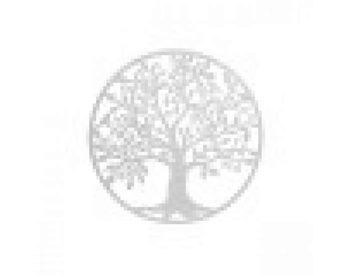 Декорация за стена Home ESPRIT Бял Дърво Cottage 99 x 2 x 99 cm