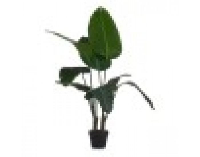 Декоративно Растение Райска птица Зелен Пластмаса (100 x 120 x 100 cm)