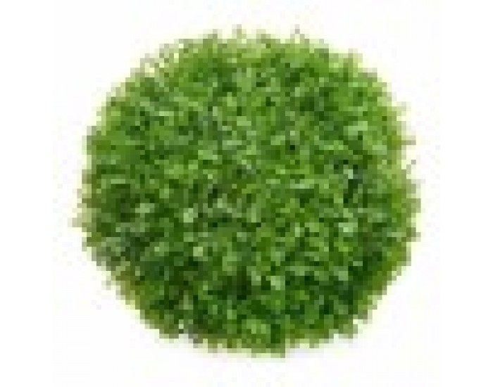 Декоративно Растение Листи Pall Пластмаса 22 x 22 x 22 cm (8 броя)