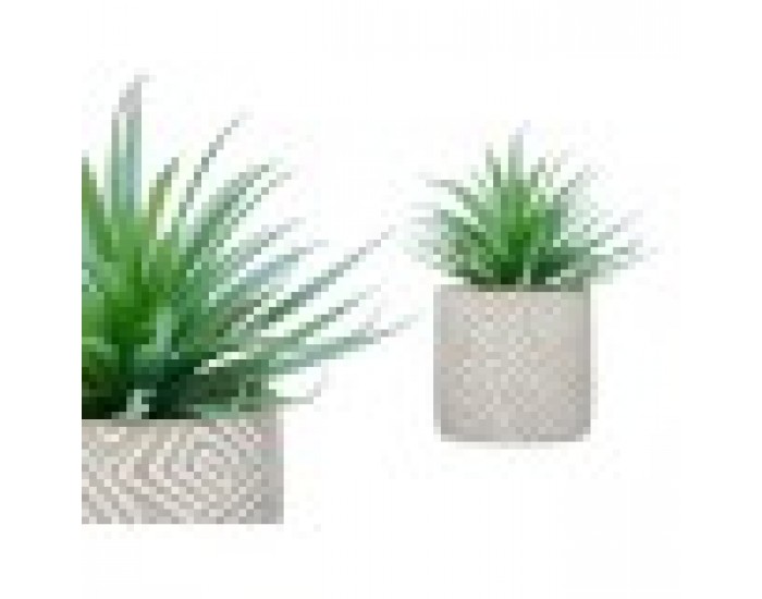 Декоративно Растение Сочен Дървен Пластмаса 17 x 21 x 17 cm (8 броя)