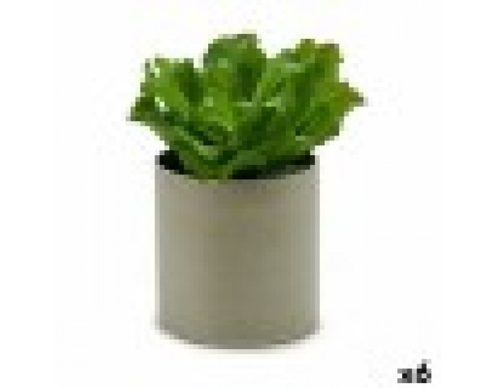 Декоративно Растение 20 x 25 x 20 cm (6 броя)