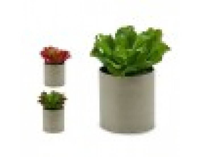 Декоративно Растение 20 x 25 x 20 cm (6 броя)