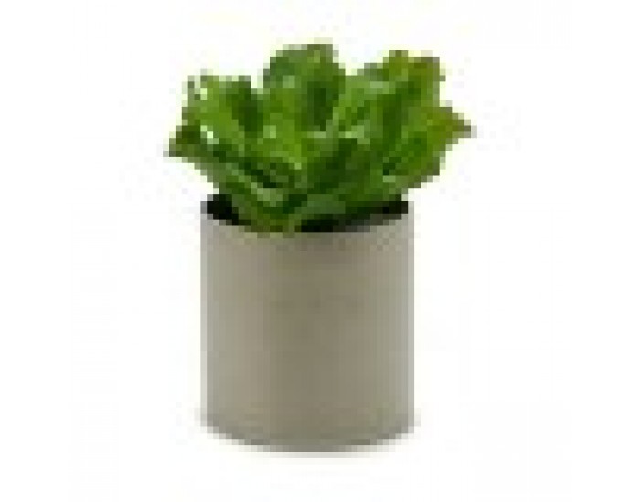 Декоративно Растение 20 x 25 x 20 cm (6 броя)