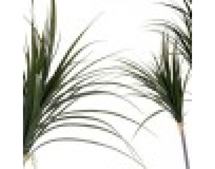 Декоративно Растение Зелен Пластмаса (80 x 140 x 85 cm)