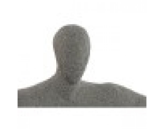 Декоративна фигурка Home ESPRIT Сив 57 x 19,5 x 26,8 cm