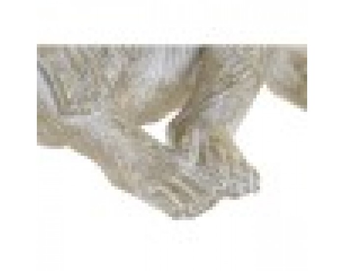 Декоративна фигурка Home ESPRIT Златен Маймуна Тропически 21 x 17 x 25 cm (3 броя)