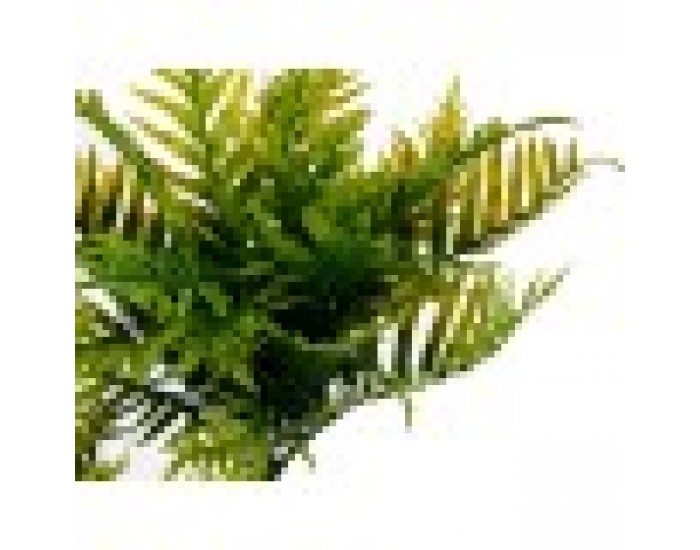 Декоративно Растение Палма 20 x 70 x 20 cm Сив Цимент Зелен Пластмаса (4 броя)