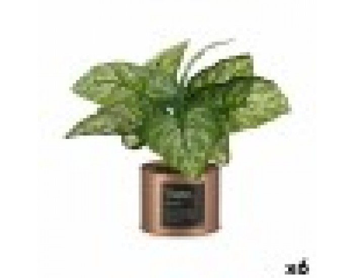 Декоративно Растение Home Мед кенче (26 x 26 x 26 cm) (6 броя)