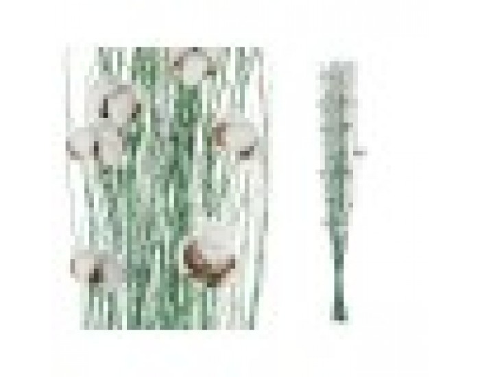 Корсажи Памук Зелен 10 x 100 x 18 cm (18 броя)