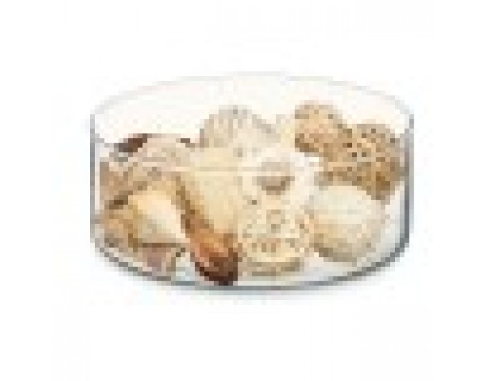 Decorative Potpourri Бял Кафяв 16 x 21 x 7 cm (12 броя) Decorative Potpourri Бял Кафяв 16 x 21 x 7 cm (12 броя)