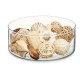 Decorative Potpourri Бял Кафяв 16 x 21 x 7 cm (12 броя) Decorative Potpourri Бял Кафяв 16 x 21 x 7 cm (12 броя)