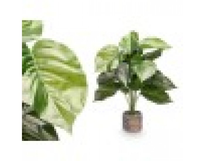 Декоративно Растение Ibergarden 12 Пластмаса Магнезиев 42 x 42 x 78 cm (4 броя)