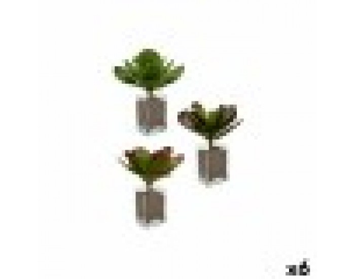 Декоративно Растение Листи Широк Двуцветен Пластмаса 27 x 29 x 27 cm (6 броя)