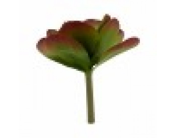 Декоративно Растение Листи Широк Двуцветен Пластмаса 27 x 29 x 27 cm (6 броя)