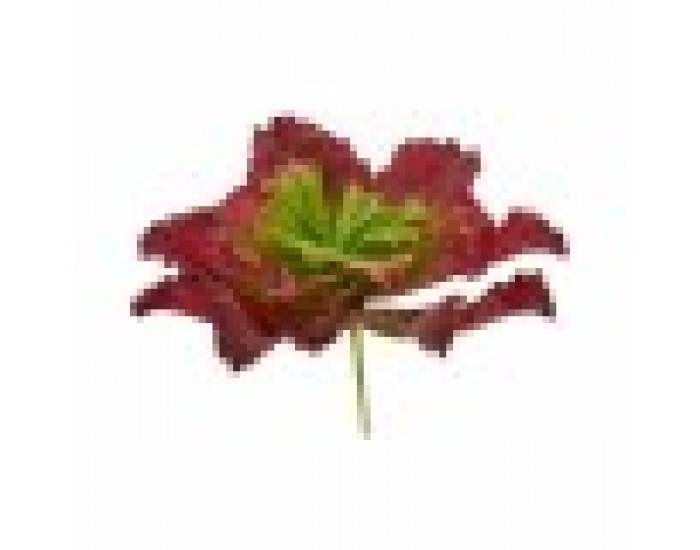 Декоративно Растение Листи Широк Двуцветен Пластмаса 31 x 24 x 31 cm (6 броя)